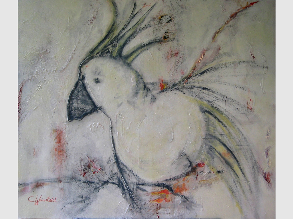 Paradise Bird 90x90 mixed media on canvas