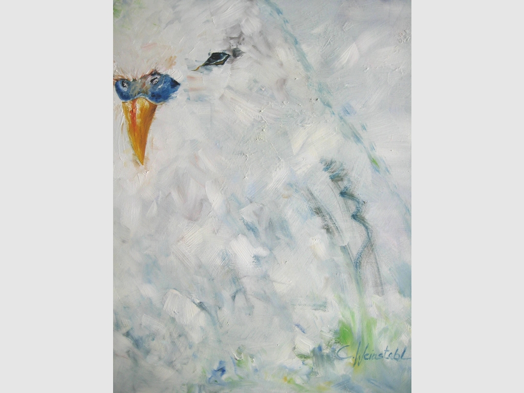 Bird 70x60 oil on canvas