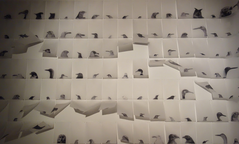 Sena Başöz Leads Material: Wind Workshop (10/02/2026)