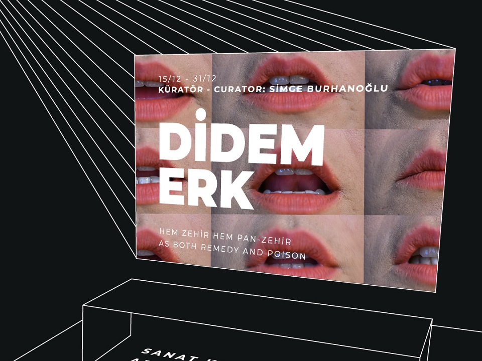 Didem Erk’in Hem Zehir Hem Pan-Zehir sergisi Bilsart’ta (24/03/2022)