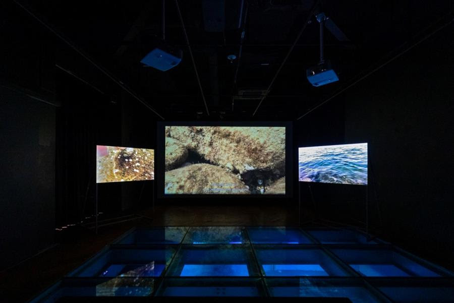 11/07/2022 - Elmas Deniz at the Blue Planet - Sea exhibition in Seoul