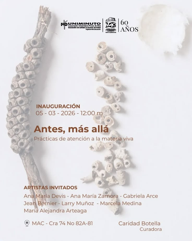 05/03/2026 -  Larry Muñoz at Antes, más allá: Prácticas de atención a la materia viva at Museo Arte Contemporanea Bogota