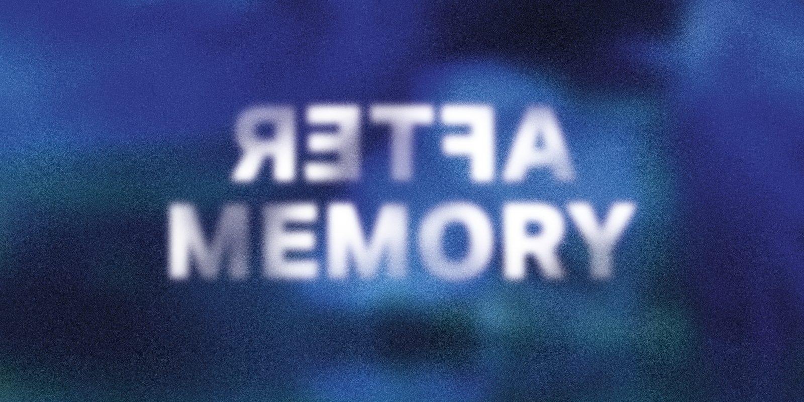 Heba Y. Amin at After Memory at Kunstraum Kreuzberg/Bethanien (10/07/2026)