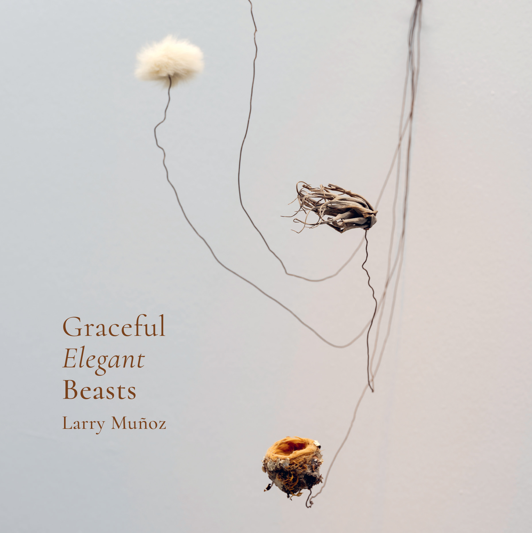 Graceful Elegant Beasts