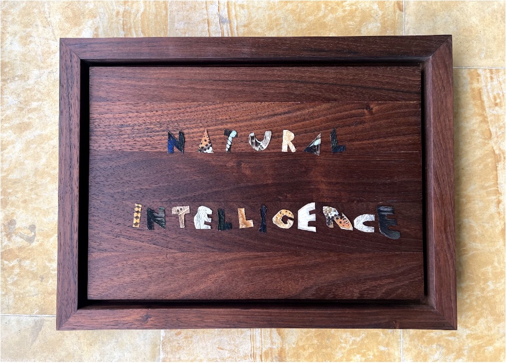 Natural intelligence