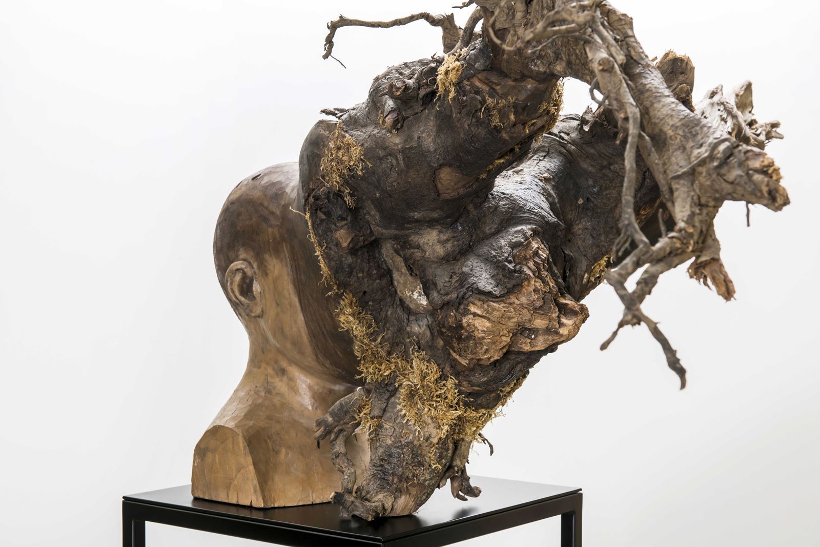 Untitled (Uprooted Self-portrait)