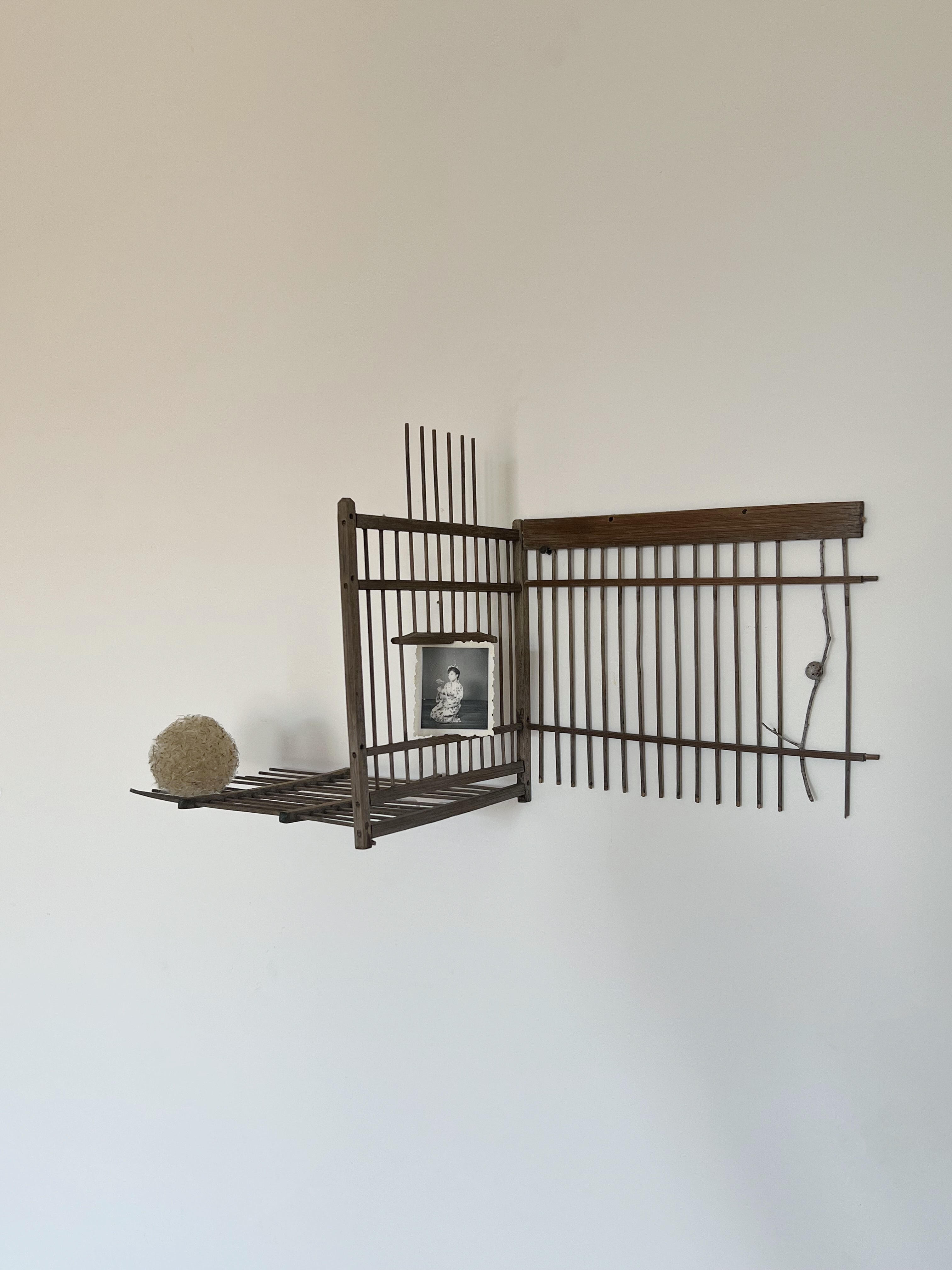 Assemblage 1 (birdcage), From the series Broken treasures