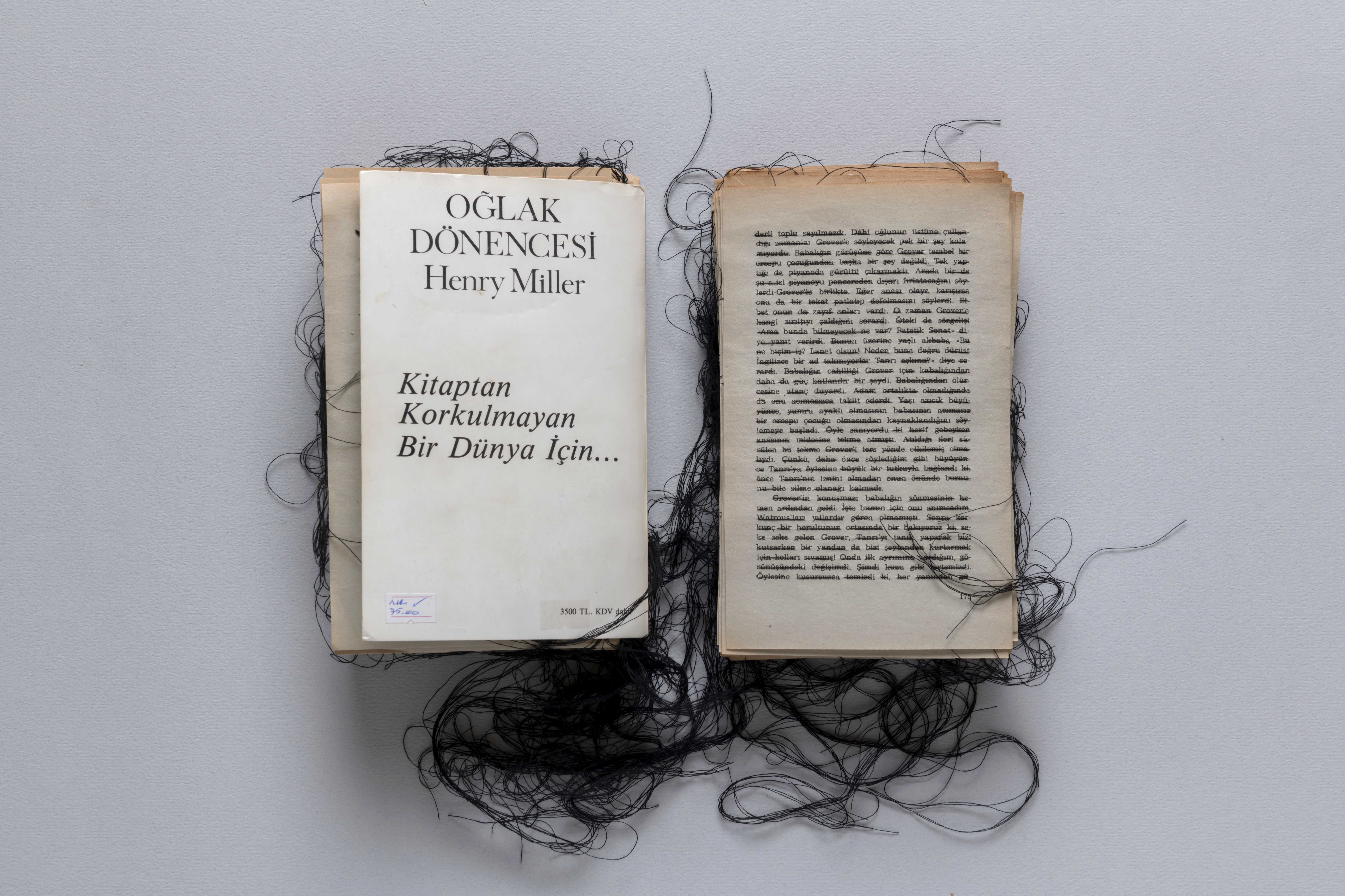 Oğlak Dönencesi (Tropic of Capricorn) *Henry Miller