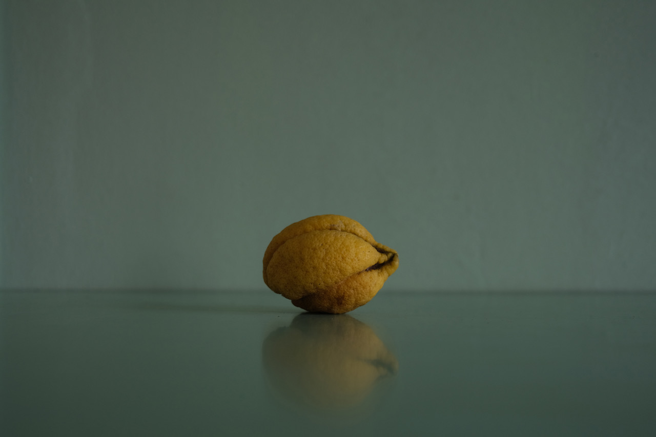 1,000 Rejected Citrons #4