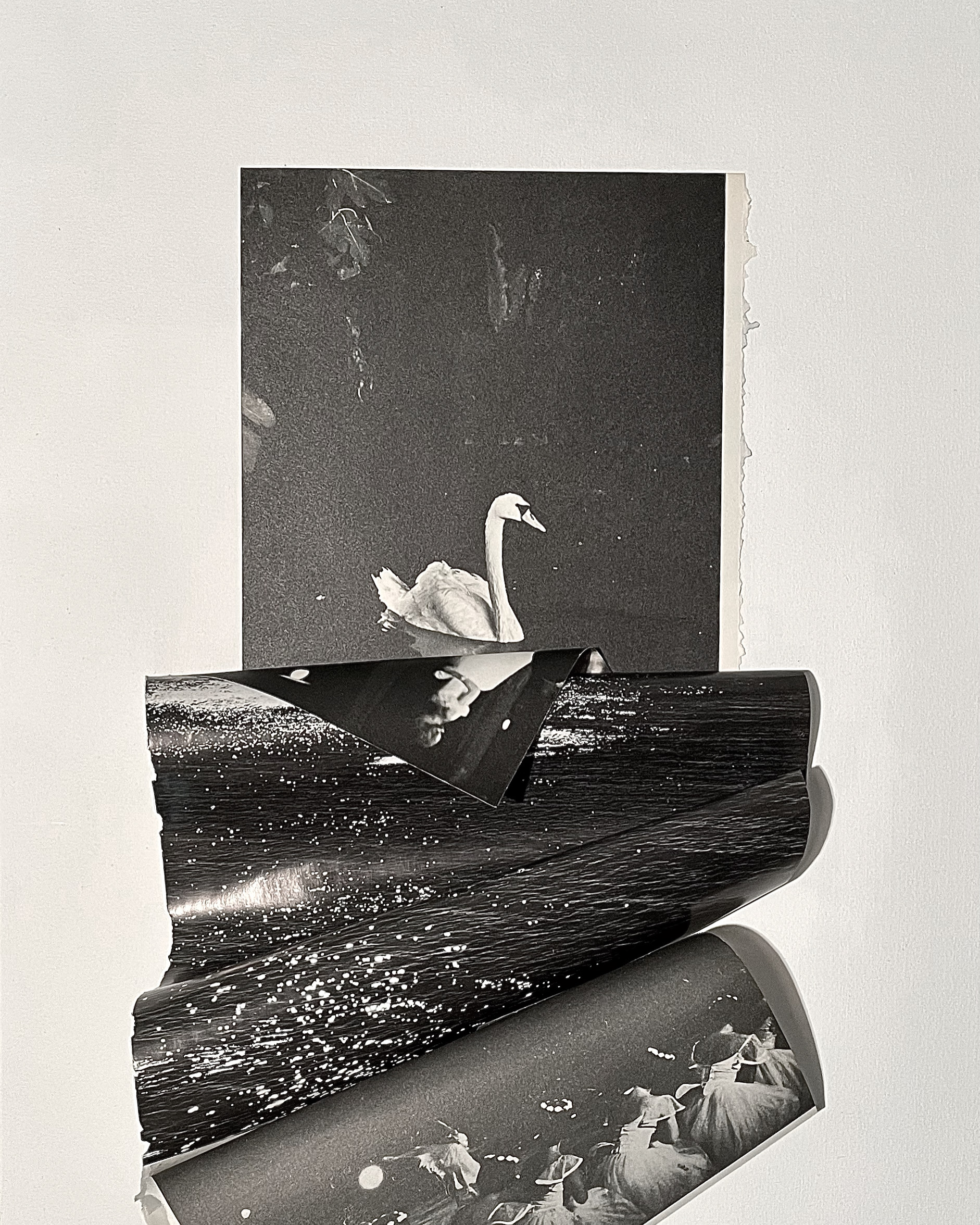 Swan Lake, From the series Mountain